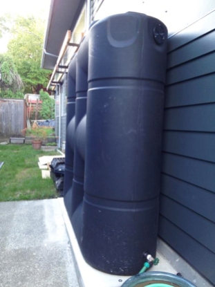 Large cisterns capture rainwater for use in the garden. Photo by Becky Chan.
