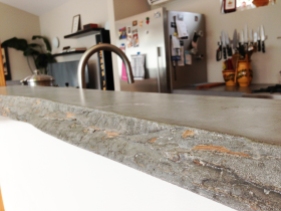 Concrete countertop formed with bark from an onsite cedar tree. Photo by Parie Hines.